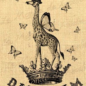 Meet your Posher, Becca